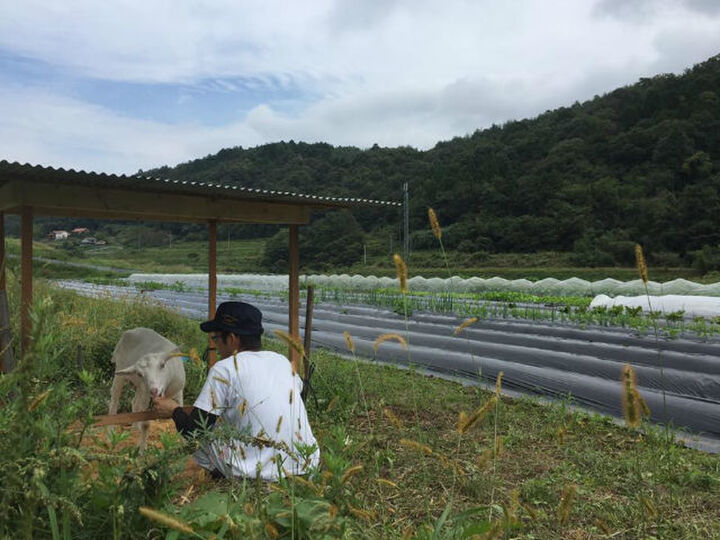 生産者のこだわり