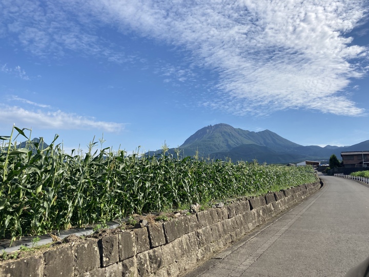 家庭用］ぎゅっと甘い！島原産ミニパプリカ(赤黄・1.2kg)：長崎県産の野菜｜食べチョク｜産地直送(産直)お取り寄せ通販 -  農家・漁師から旬の食材を直送