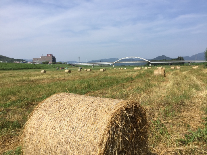 土づくり、牧草づくり、牛づくり、お肉づくりと永続する一環経営を目指しています。