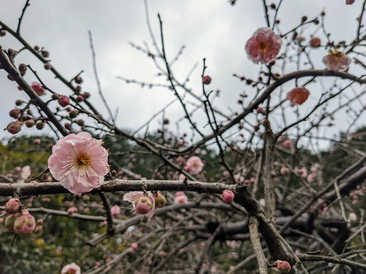 理想的な環境