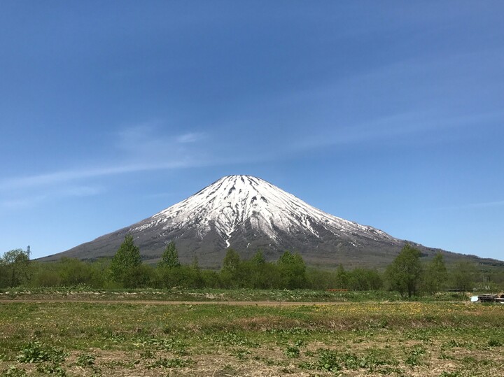 秋の味覚！採れたて✴︎生✴︎落葉キノコ【1kg】：北海道産の野菜｜食べチョク｜産地直送(産直)お取り寄せ通販 - 農家・漁師から旬の食材を直送