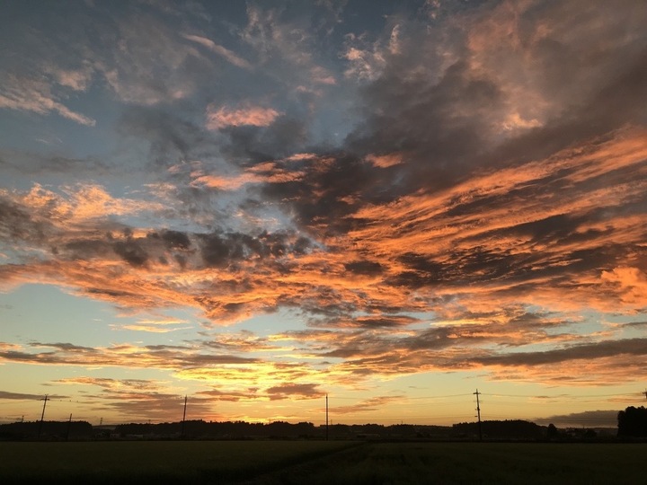 生産者のこだわり