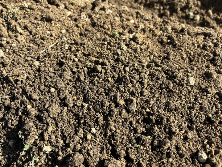 化学農薬・化学肥料を使わない野菜づくり