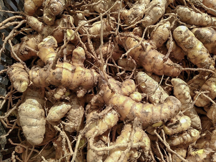 杉田農園おきなわへのレビュー 商品 沖縄県 食べチョク 産地直送 産直 お取り寄せ通販 農家 漁師から旬の食材を直送