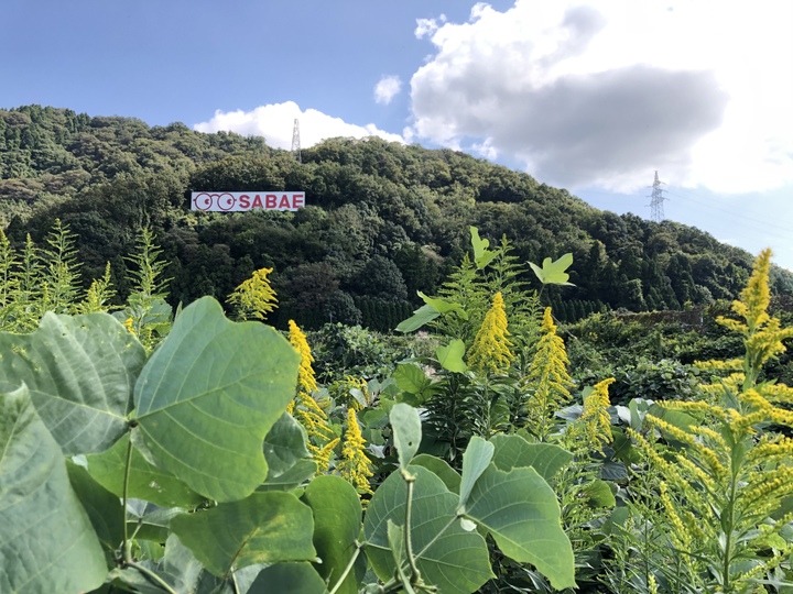 生産者のこだわり