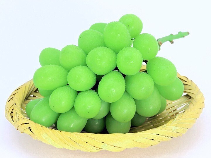 生産者のこだわり