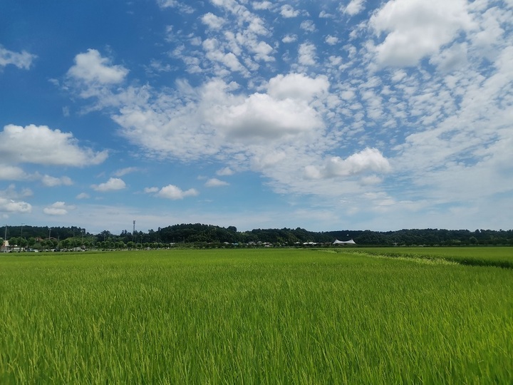 生産者のこだわり