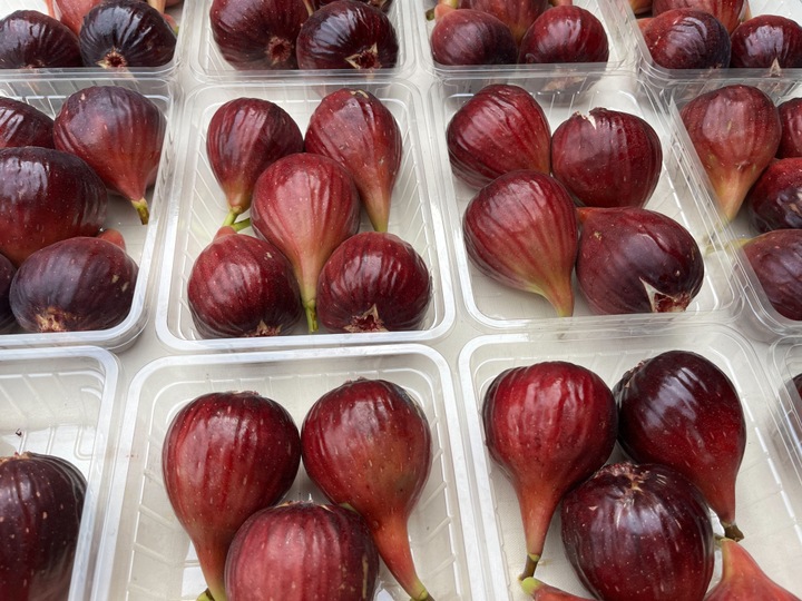 生産者のこだわり