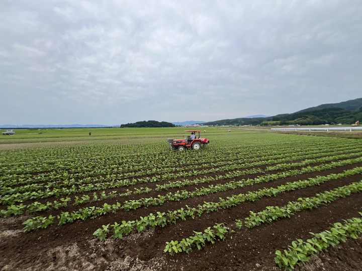 生産者のこだわり