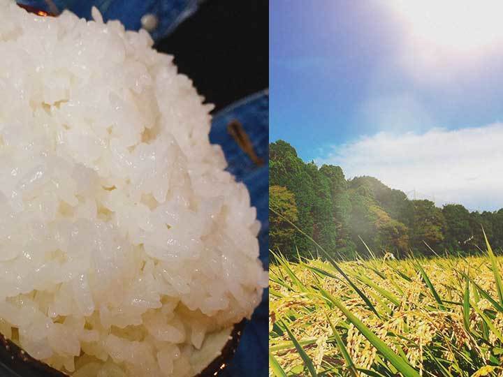 永井農業 加宝地ほしいもへのレビュー・商品：茨城県｜食べチョク｜産地直送(産直)お取り寄せ通販 - 農家・漁師から旬の食材を直送