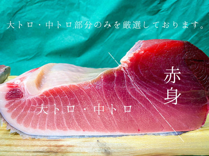 マグロの王様と呼ばれる、本マグロ。