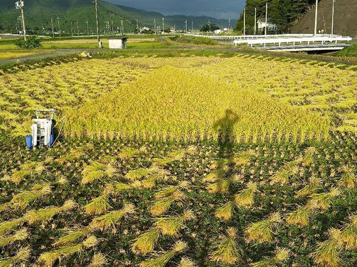 生産者のこだわり