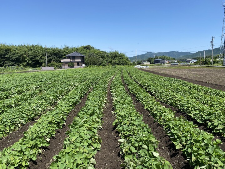 生産者のこだわり