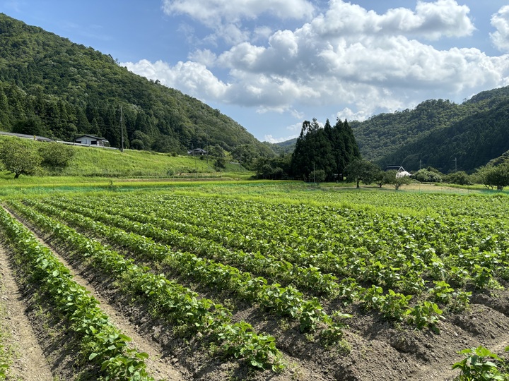 生産者のこだわり