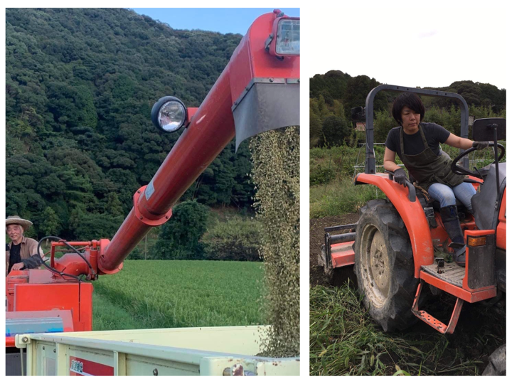 限られた人だけに、里山のお米をどうぞ