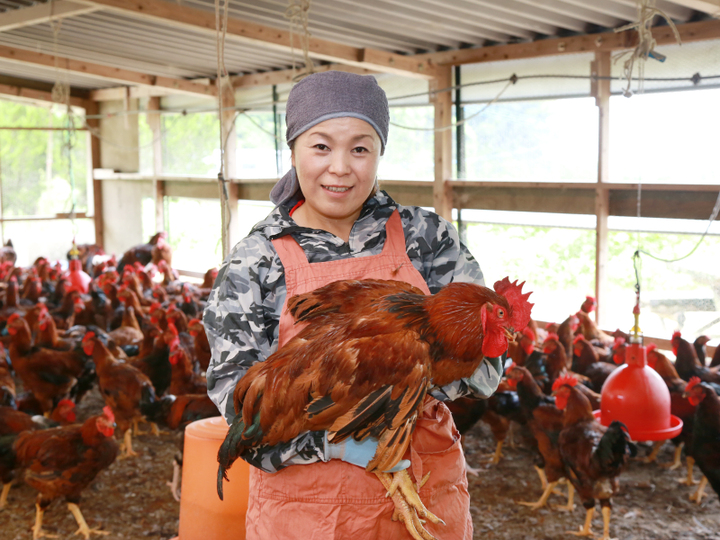 在庫限り】 天草大王 ハーフセット 750g 5人前 鶏肉 鳥肉 焼肉 BBQ お鍋 から揚げ もも肉 むね肉 パーティー お取り寄せ グルメ 冷凍 熊本  天草 詰め合わせ 高級 globescoffers.com