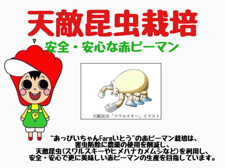 生産者のこだわり