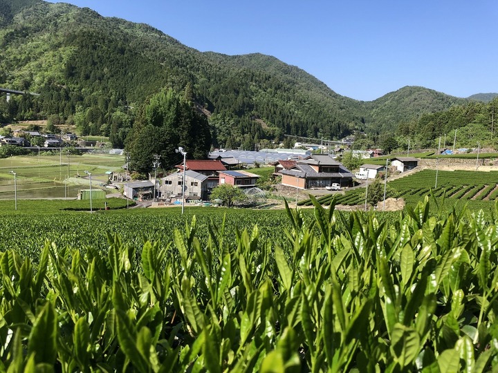 生産者のこだわり