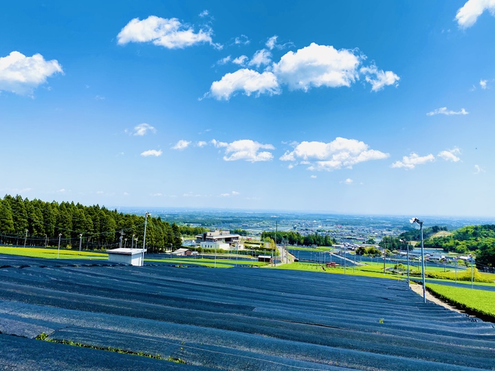 かぶせ茶ファームへのレビュー・商品：三重県｜食べチョク｜産地直送