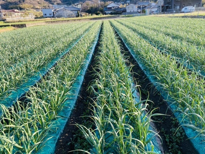 生まれ育った町への恩返し☀️