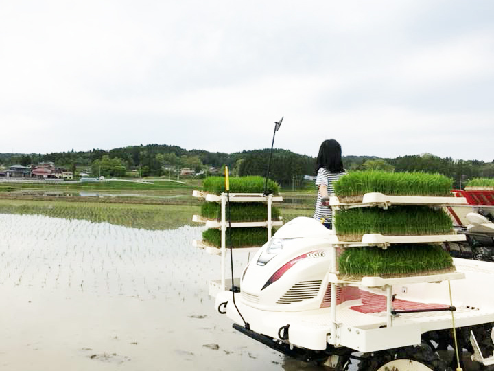 生産者のこだわり