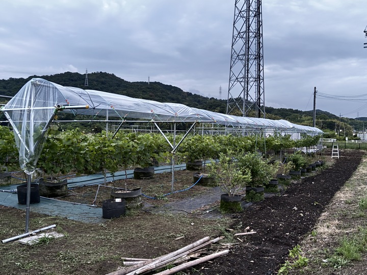 生産者のこだわり