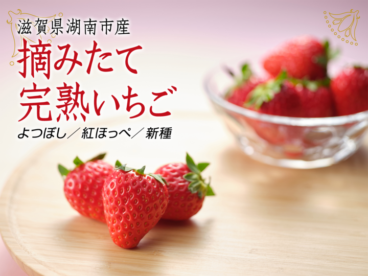 いちごの旨みたっぷり！冷凍いちご1kg ジャム作りにおすすめ！：滋賀県産の紅ほっぺ｜食べチョク｜産地直送(産直)お取り寄せ通販 -  農家・漁師から旬の食材を直送