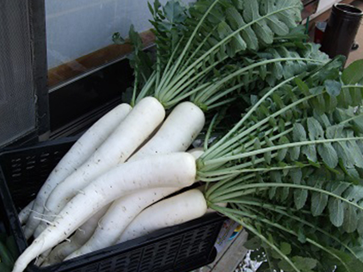 自分の信念を貫き通すということ