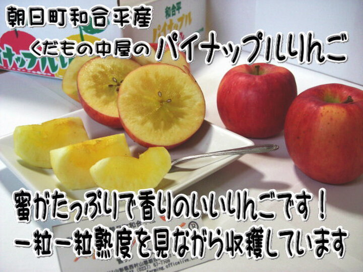 数量限定 くだもの中屋のパイナップルりんご 贈答用：山形県産のこうとく｜食べチョク｜産地直送(産直)お取り寄せ通販 - 農家・漁師から旬の食材を直送