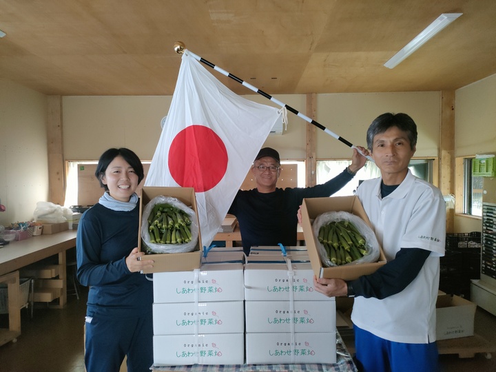 於愛の方」ふるさとの味 有機野菜・お米・お茶のセット（家康セット