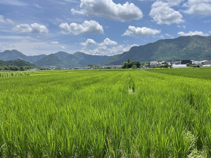 自ら美味しいと思えるものを