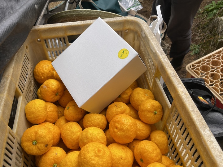 生産者のこだわり