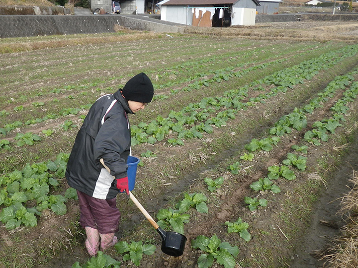 生産者のこだわり