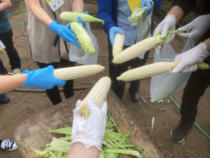 濃厚で病みつきになる美味しさ！「枝豆」”神風香”１ｋｇ（250g×４袋）：岩手県産の神風香｜食べチョク｜産地直送(産直)お取り寄せ通販 -  農家・漁師から旬の食材を直送