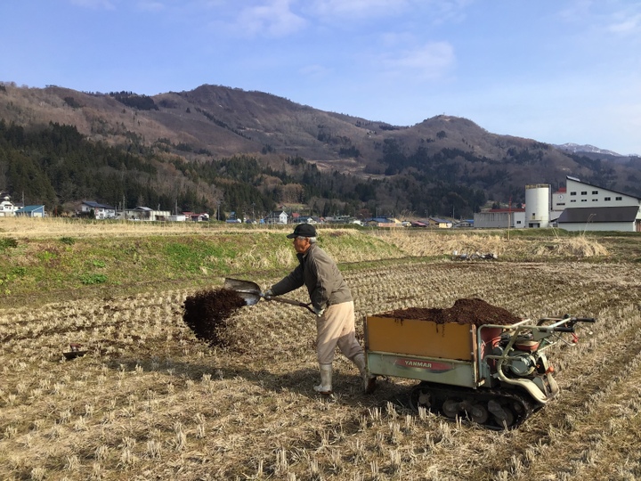 発酵モミガラ堆肥使用、土壌改良剤・ピロール資材を施したピロール米です。