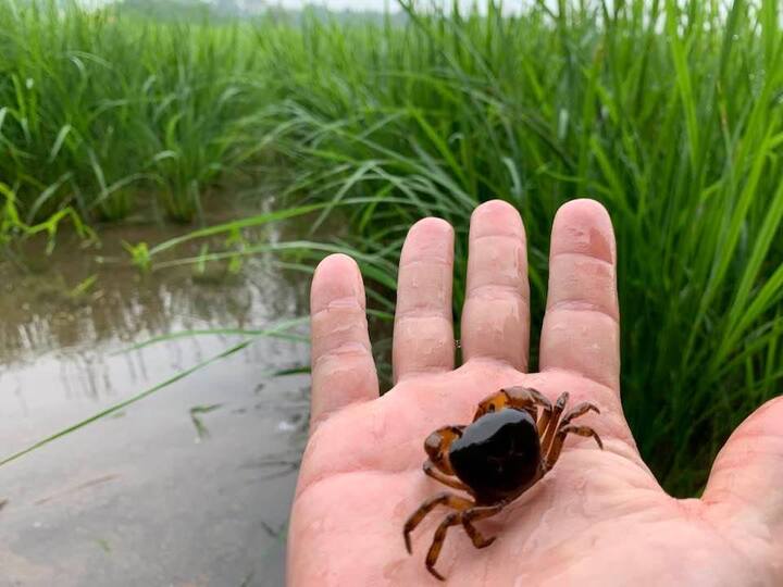 那須野が原の雄大な大地の恵