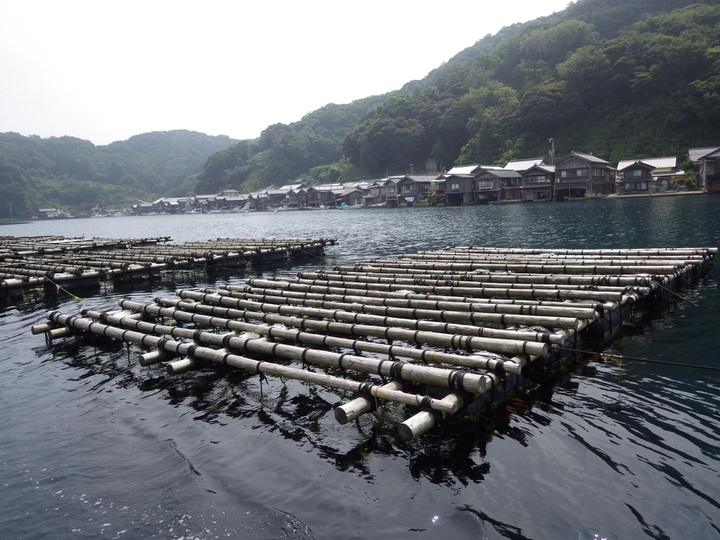 生産者のこだわり