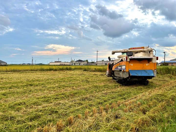 ca4eed369526e50e86b69b5b50638b