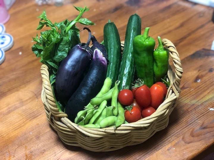 食卓に安全安心を!をモットーに、大自然のなか美味しい野菜作りにチャレンジ!