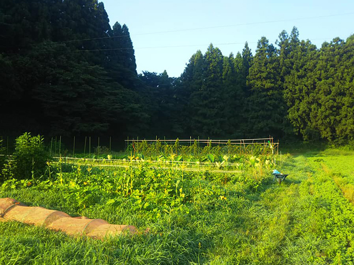 生産者のこだわり