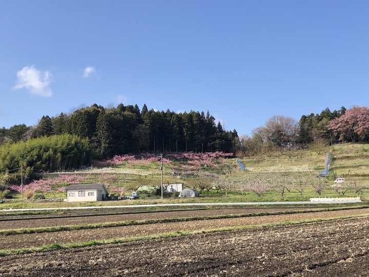 生産者のこだわり