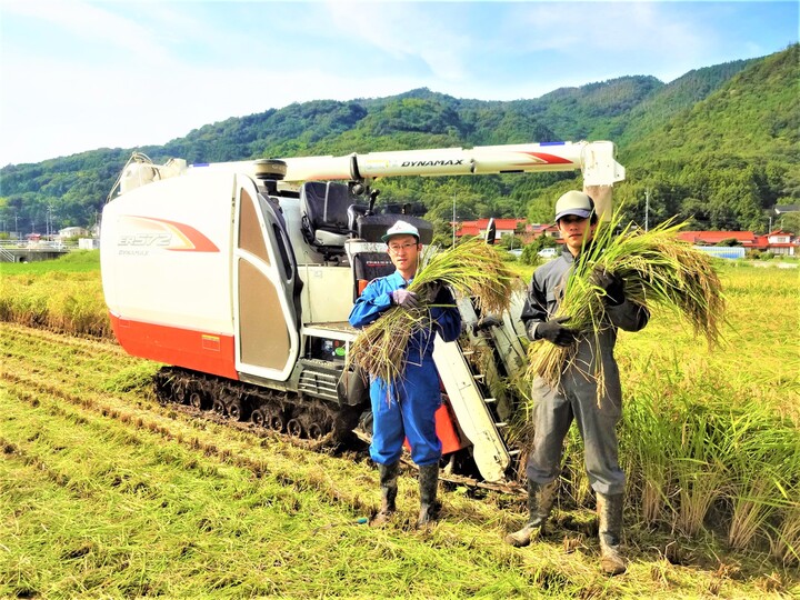 わけあり・メール便送料３６０円】有機ゆず入り白米角もち６個 300ｇ：島根県産の加工品｜食べチョク｜産地直送(産直)お取り寄せ通販 -  農家・漁師から旬の食材を直送