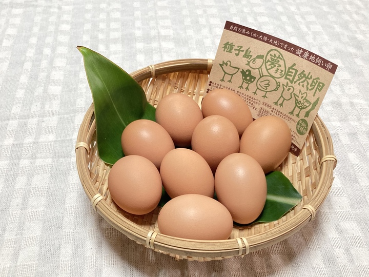 自然淘汰を見守る事は自然を受け入れる事