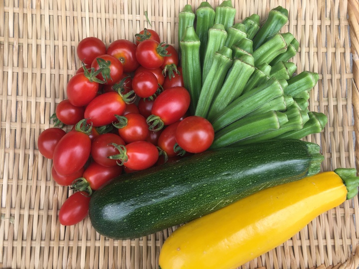 生産者のこだわり