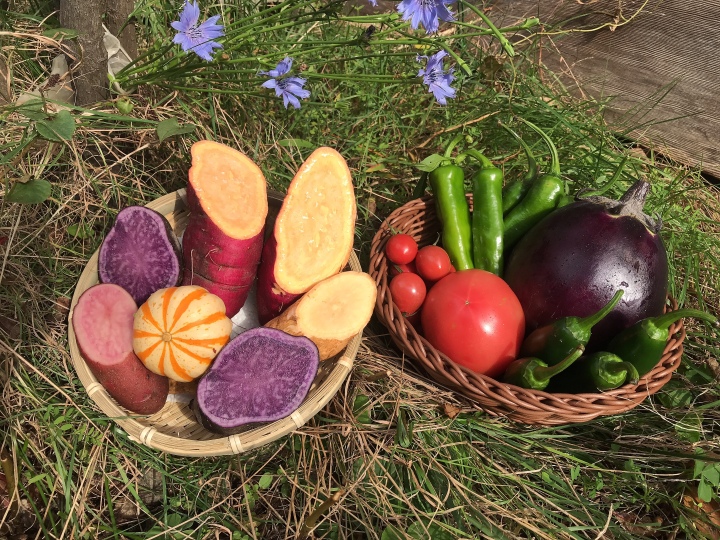 ゆう様専用】：京都府産の野菜セット｜食べチョク｜産地直送