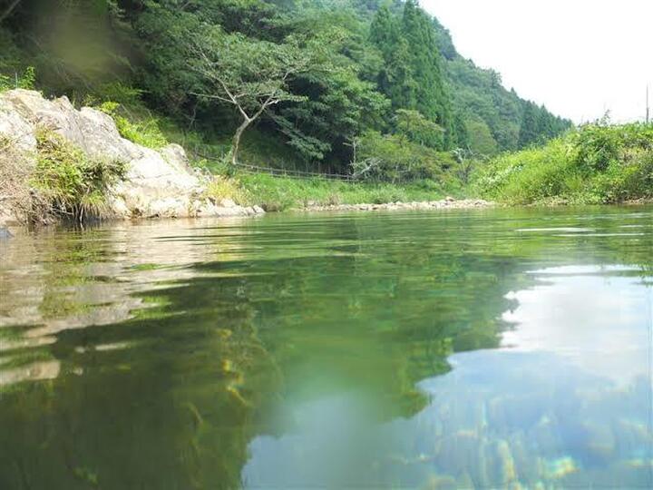 清流で育った野菜たちを是非お楽しみ下さい
