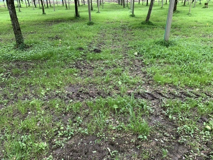 徹底した土造り
