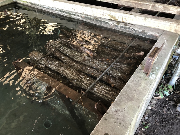 生産者のこだわり