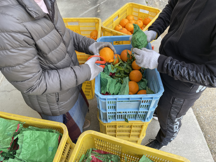 生産者のこだわり