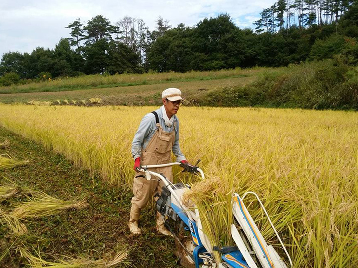 新米令和5年産】玄米（コシヒカリ）10kg はぜ掛けで美味しさ凝縮：長野